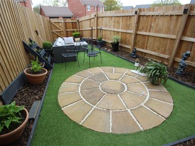 Picture 8